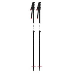 DPS Skis Extendable Pole 2023